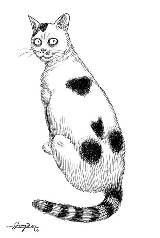 A portrait of Junji Ito’s creepy pet cat, Yon.